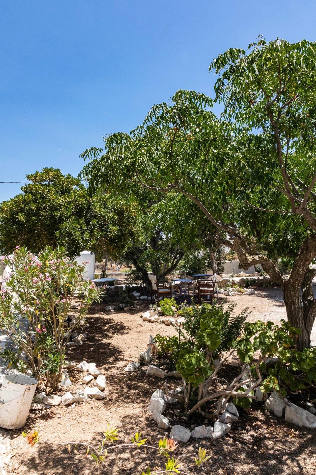 Sorokos Koufonissia Otel Koufonisia Dış mekan fotoğraf